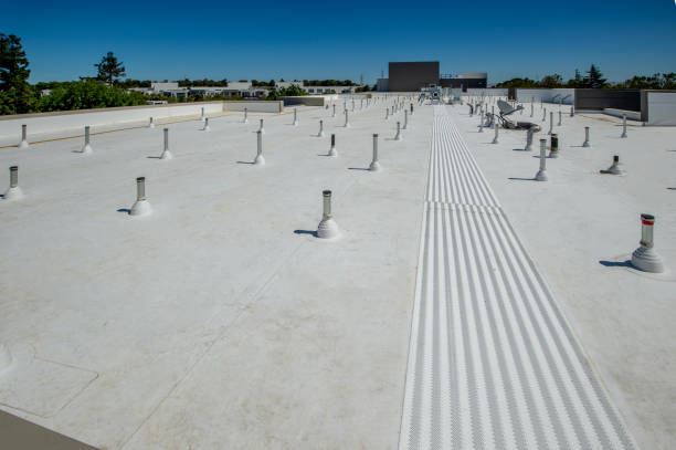 Best Skylight Installation and Repair  in Island Walk, FL